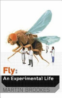 Fly : an experimental life /