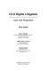 Civil rights litigation : cases and perspectives /