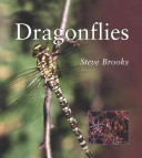 Dragonflies /