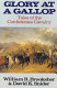 Glory at a gallop : tales of the Confederate cavalry /