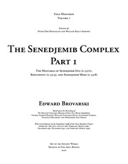 The Senedjemib complex /