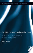 The Black professional middle class : race, class, and community in the post-civil rights era /