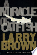A miracle of catfish : a novel in progress /