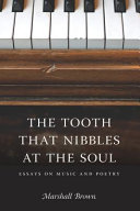 The tooth that nibbles at the soul : essays on music and poetry /