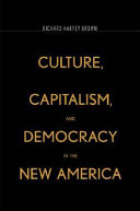 Culture, capitalism, and democracy in the New America /