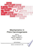 Mechanisms in Fibre Carcinogenesis /