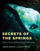 Secrets of the springs : Warm Mineral Springs and Little Salt Spring /