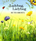 Ladybug, ladybug /