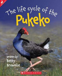 The life cycle of the pūkeko /