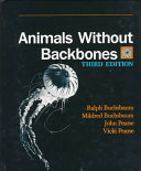 Animals without backbones.