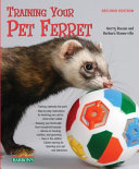Training your pet ferret /