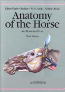 Anatomy of the horse : an illustrated text /