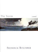 The storm : a novel /