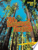 The redwood forests