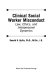 Clinical social worker misconduct : law, ethics, and interpersonal dynamics /