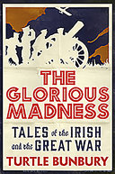 The glorious madness : tales of the Irish and the Great War /