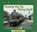 Chasing the flying snail /