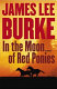 In the moon of red ponies : a novel /