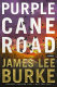 Purple cane road : a novel /