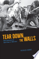 Tear down the walls : white radicalism and black power in 1960s rock /
