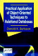 Practical application of object-oriented techniques to relational databases /