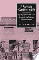 A particular condition in life : self-employment and social mobility in mid-Victorian Brantford, Ontario /