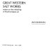 Great western salt works ; essays on the meaning of post-formalist art.