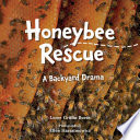 Honeybee rescue : a Backyard drama /