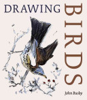 Drawing birds /