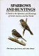 Sparrows and buntings : a guide to the sparrows and buntings of North America and the world /