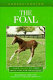 Understanding the foal : your guide to horse health care and management /