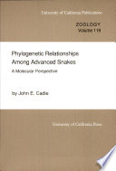 Phylogenetic relationships among advanced snakes : a molecular perspective /