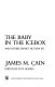 The baby in the icebox and other short fiction /