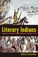 Literary Indians : aesthetics and encounter in American literature to 1920 /