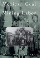 Mexican coal mining labor in Texas and Coahuila, 1880-1930 /