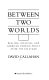 Between two worlds : realism, idealism, and American foreign policy after the cold war /
