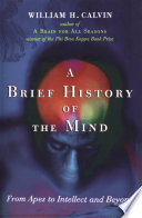 A brief history of the mind : from apes to intellect and beyond /