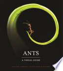 Ants : A Visual Guide /