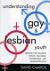 Understanding gay and lesbian youth : lessons for straight school teachers, counselors, and administrators /