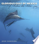 Glorious Gulf of Mexico : life below the blue /