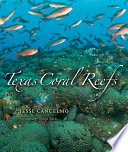Texas coral reefs /