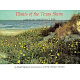 Plants of the Texas shore : a beachcomber's guide /