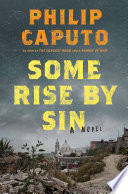 Some rise by sin : a novel /