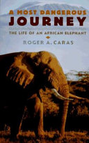 A most dangerous journey : the life of an African elephant /