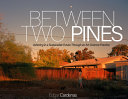 Between two pines : ushering in a sustainable future through an art-science practice /