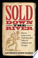 Sold down the river : slavery in the lower Chattahoochee valley of Alabama and Georgia /