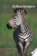 Zebra stripes /