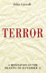 Terror : a meditation on the meaning of September 11 /