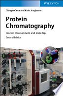 Protein chromatography : process development and scale-up /