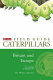 A field guide to caterpillars of butterflies and moths in Britain and Europe /